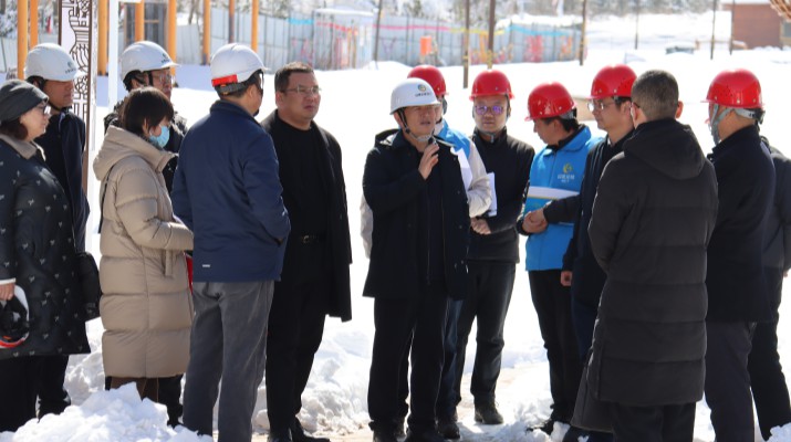 石培文董事長帶隊調研渭河源景區(qū)項目建設情況